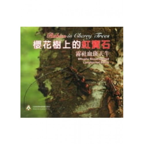 櫻花樹上的紅寶石：霧社血斑天牛(無書，DVD)