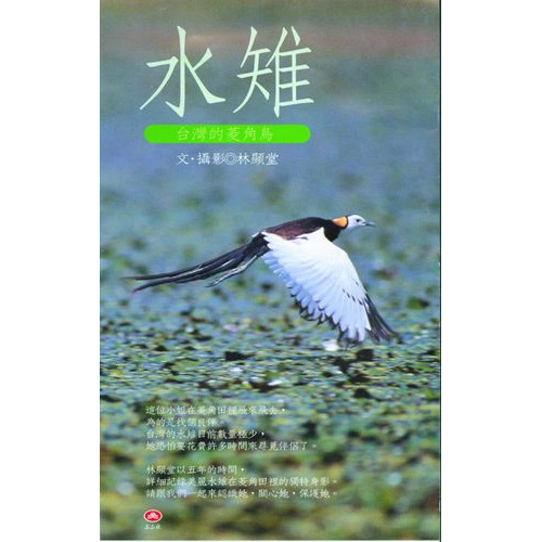 台灣的菱角鳥—水雉 